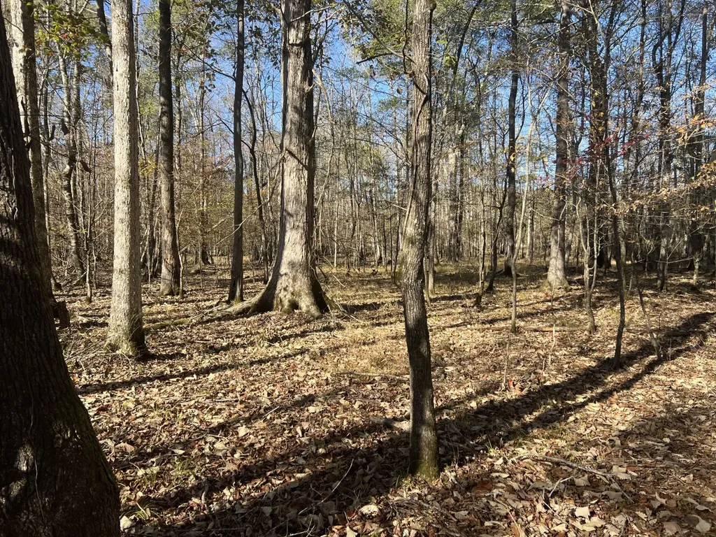 0 Hayes Crossing Road Millport AL 35576