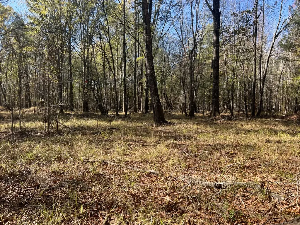 0 Hayes Crossing Road Millport AL 35576