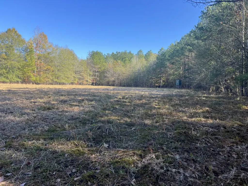 0 Hayes Crossing Road Millport AL 35576