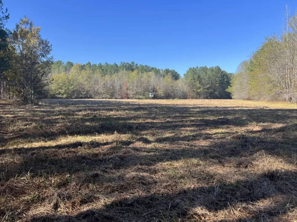 0 Hayes Crossing Road Millport AL 35576