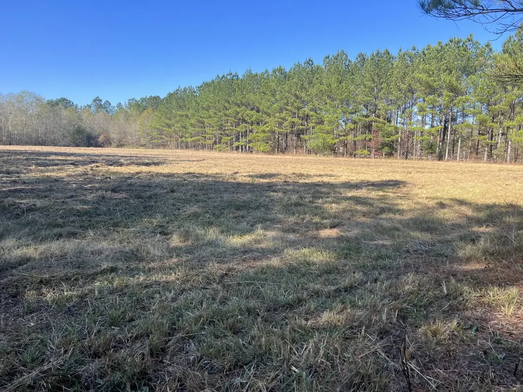 0 Hayes Crossing Road Millport AL 35576