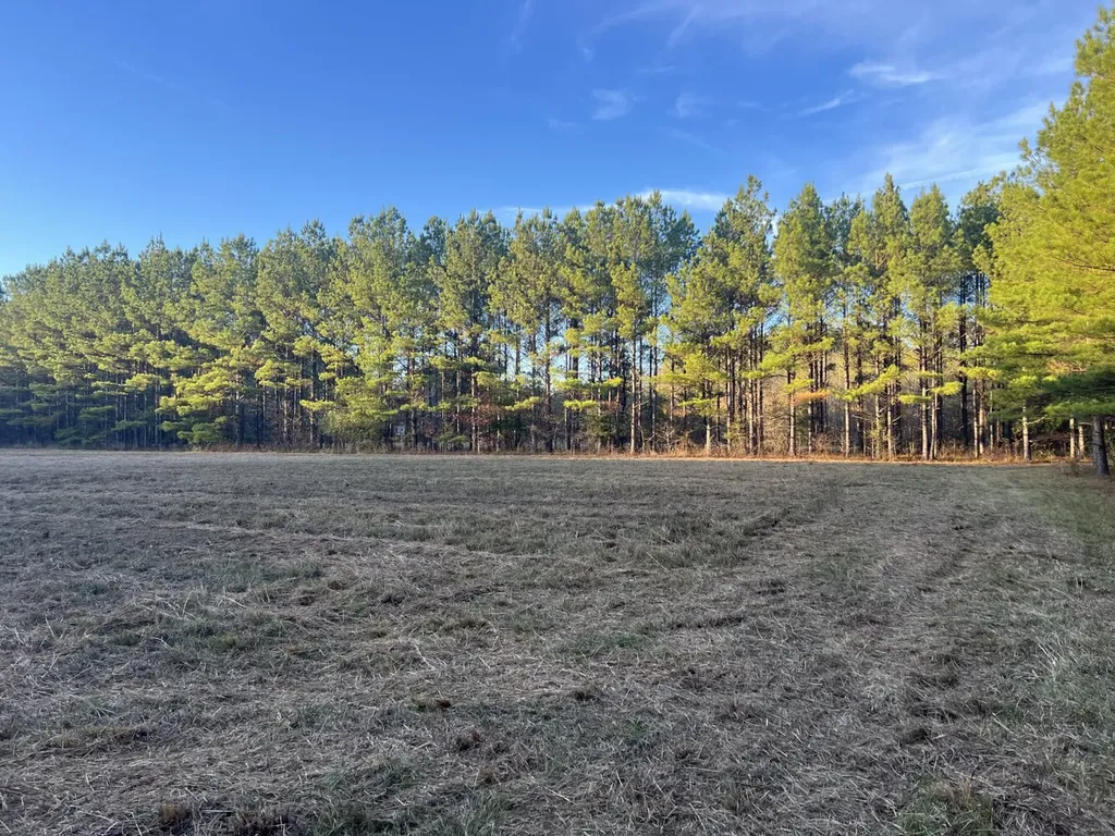 0 Hayes Crossing Road Millport AL 35576