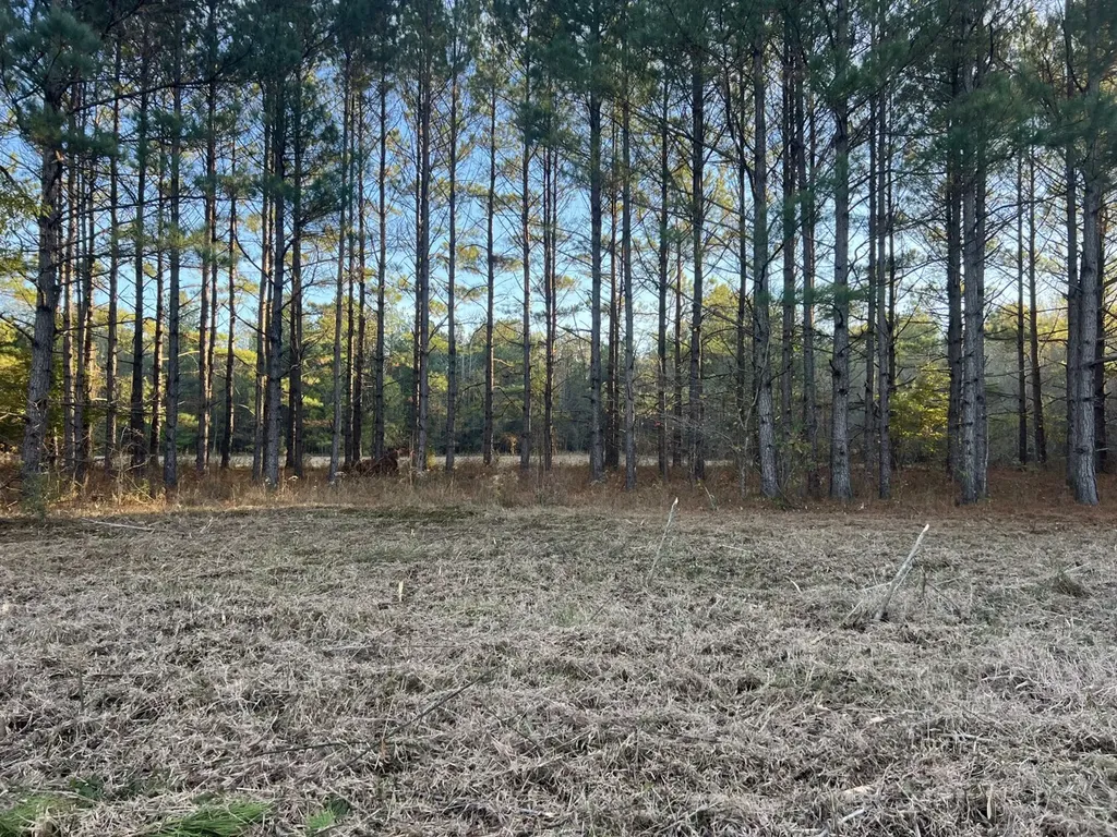 0 Hayes Crossing Road Millport AL 35576