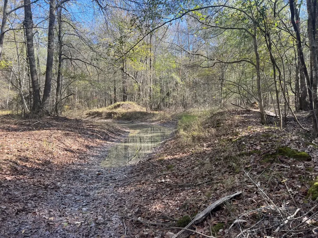 0 Hayes Crossing Road Millport AL 35576