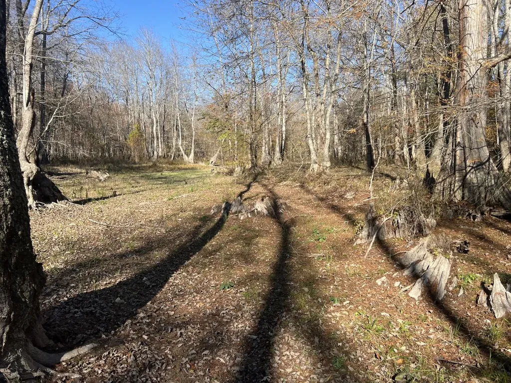 0 Hayes Crossing Road Millport AL 35576