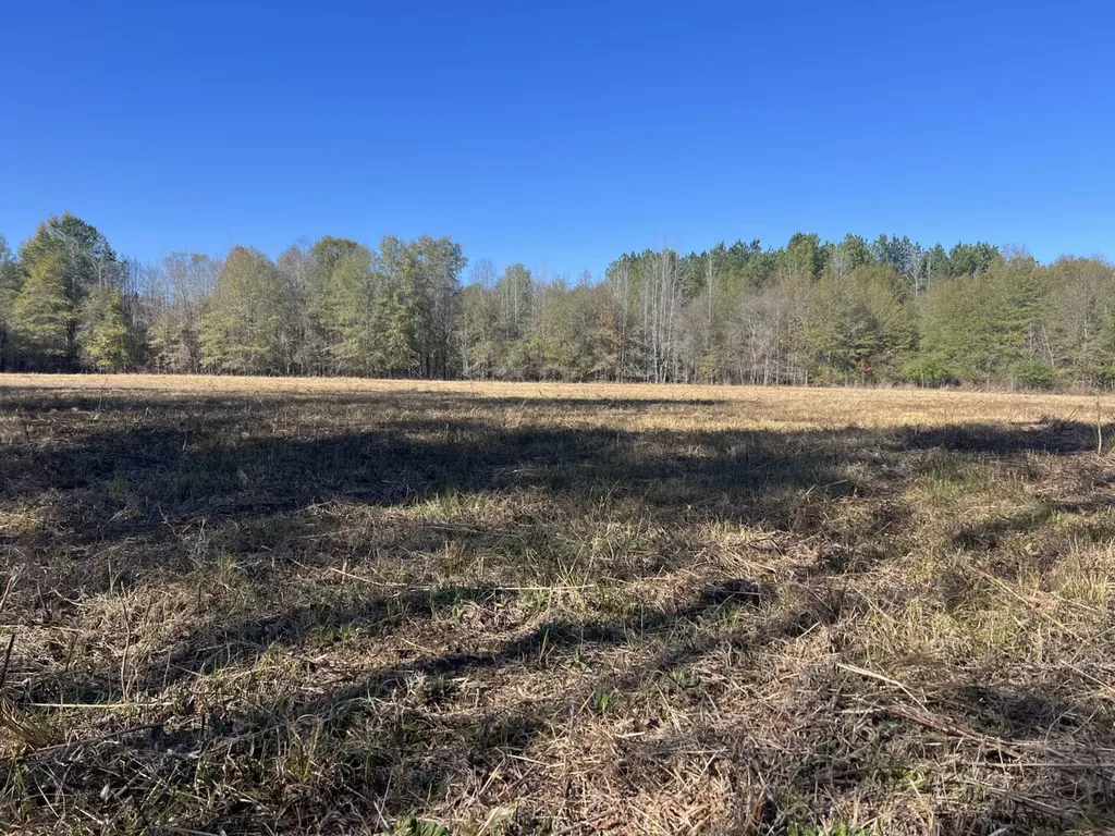 0 Hayes Crossing Road Millport AL 35576