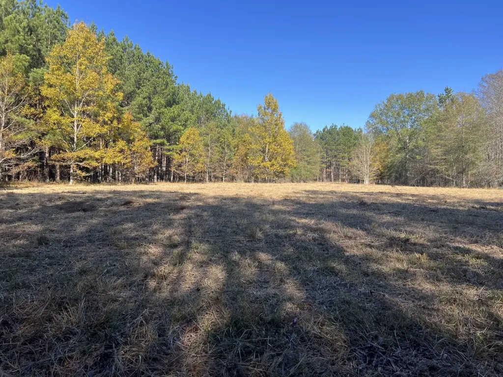 0 Hayes Crossing Road Millport AL 35576