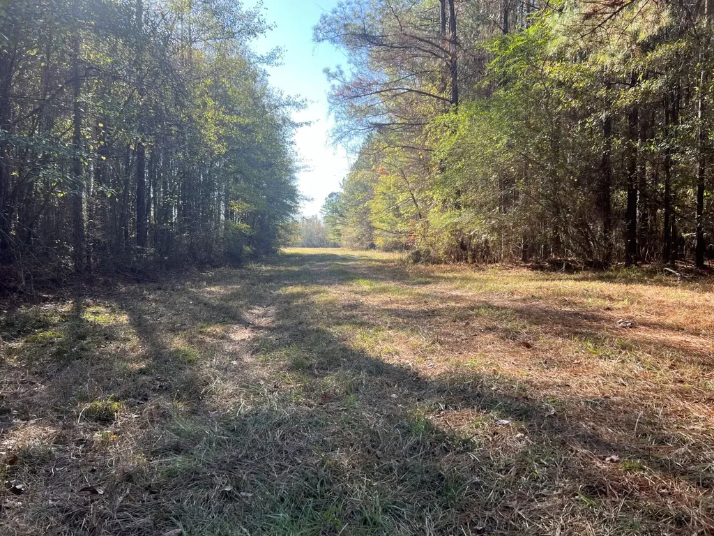 0 Hayes Crossing Road Millport AL 35576