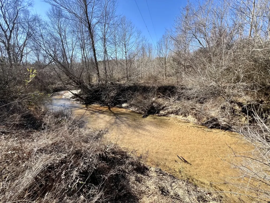 0 Holiday Lane Vashti AL 36482