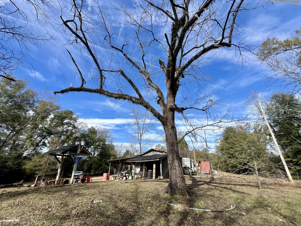 0 Holiday Lane Vashti AL 36482