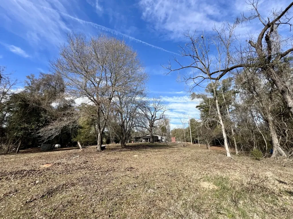 0 Holiday Lane Vashti AL 36482