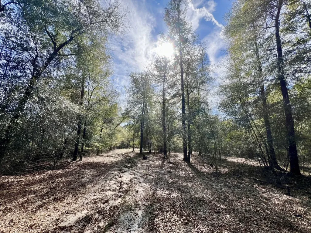 0 Holiday Lane Vashti AL 36482