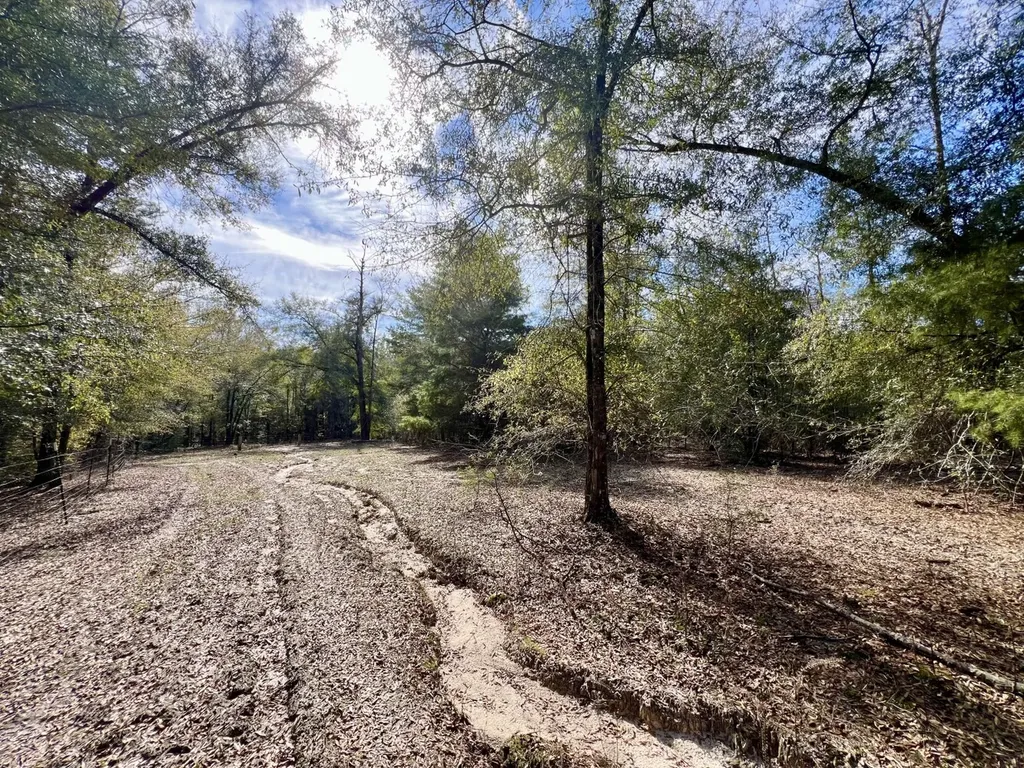 0 Holiday Lane Vashti AL 36482