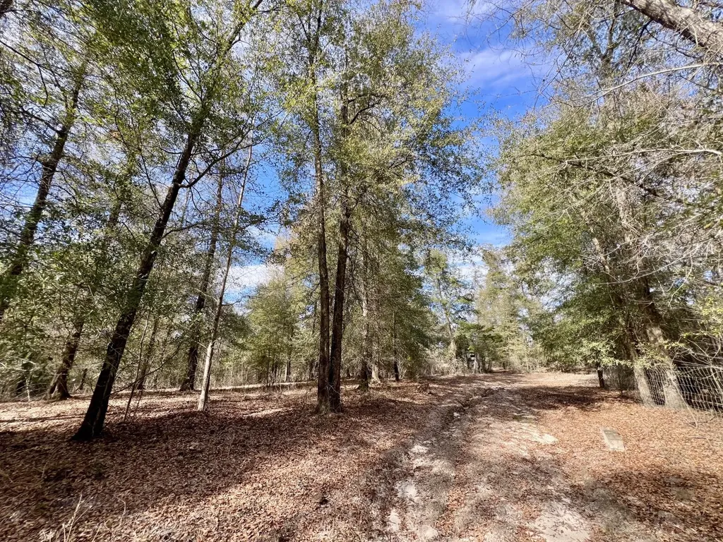 0 Holiday Lane Vashti AL 36482