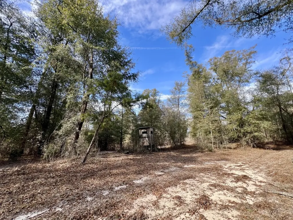 0 Holiday Lane Vashti AL 36482