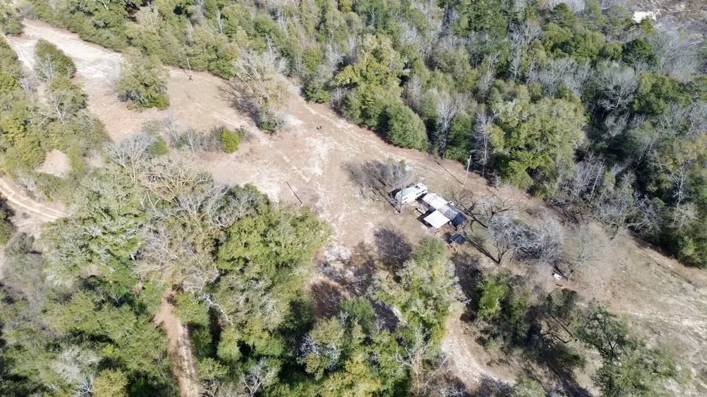 0 Holiday Lane Vashti AL 36482