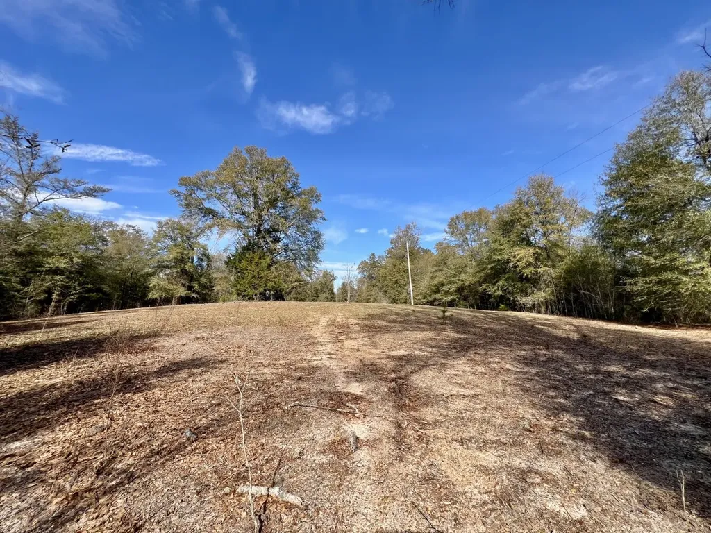 0 Holiday Lane Vashti AL 36482