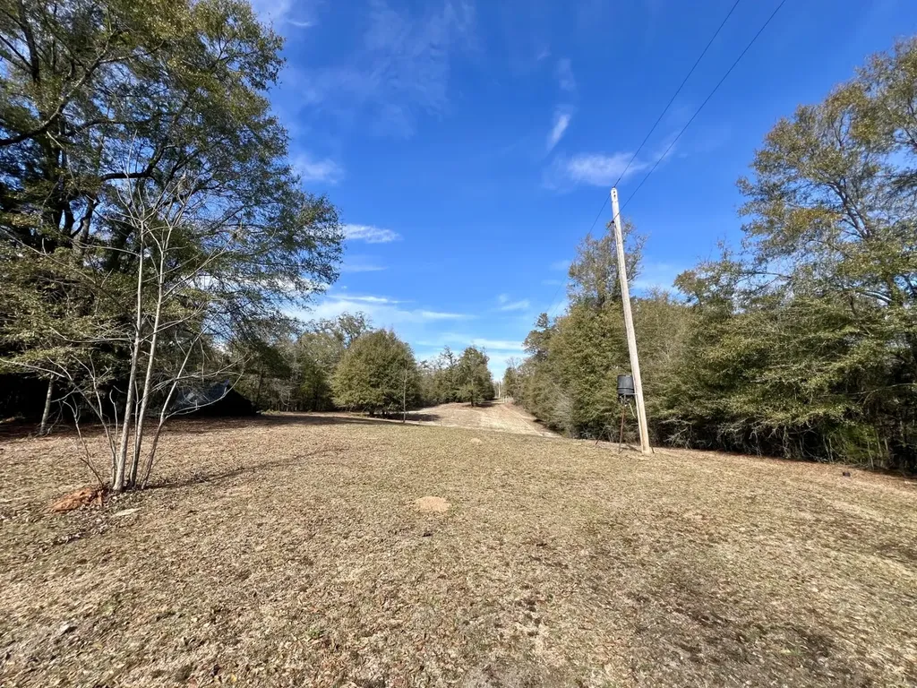 0 Holiday Lane Vashti AL 36482