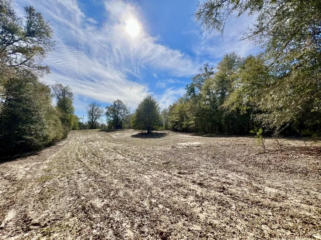 0 Holiday Lane Vashti AL 36482