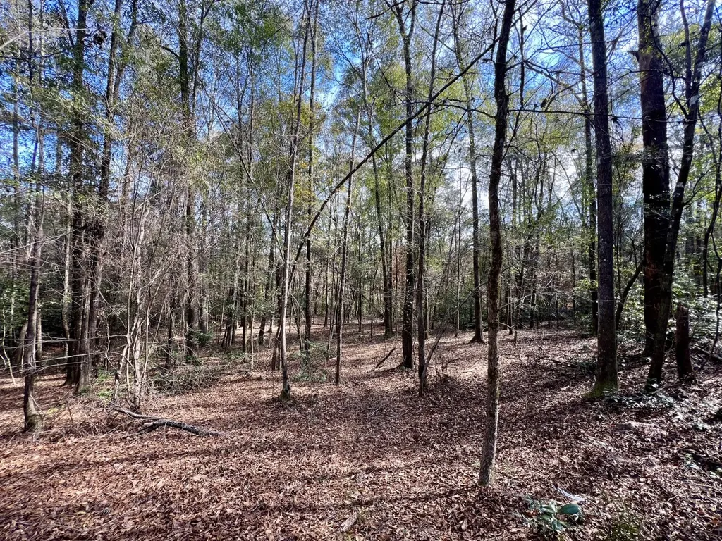 0 Holiday Lane Vashti AL 36482