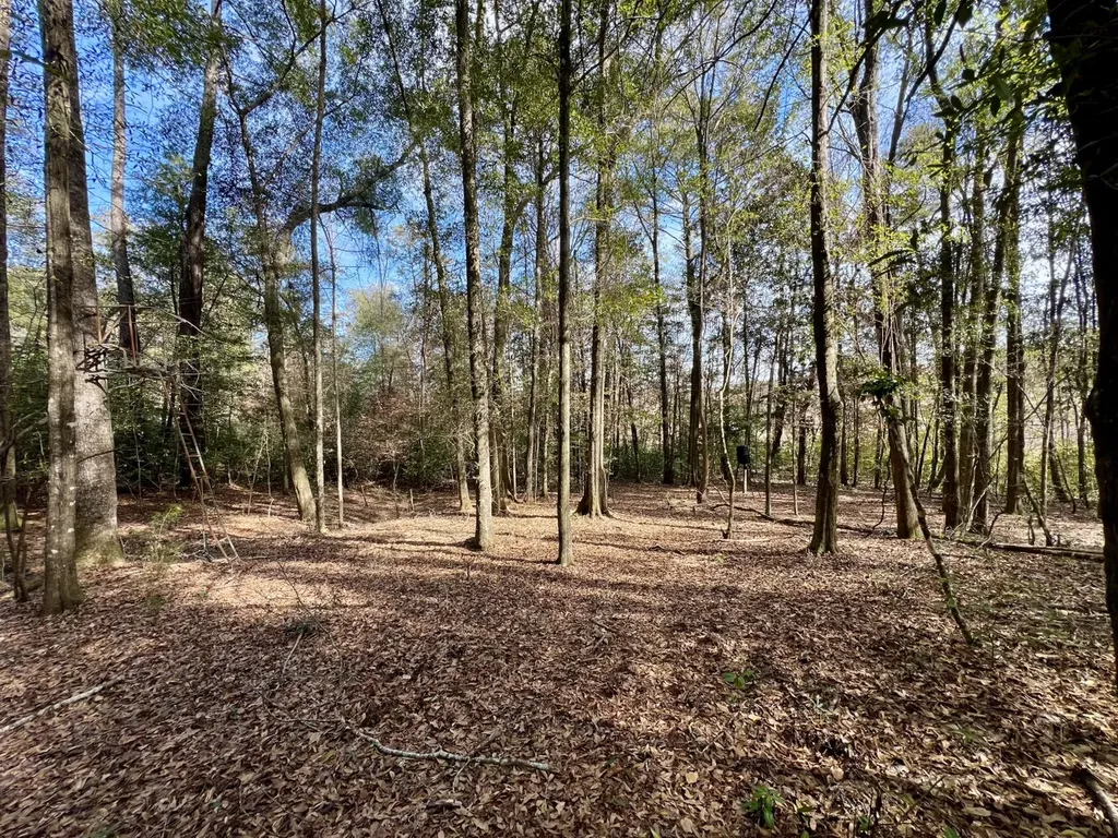 0 Holiday Lane Vashti AL 36482