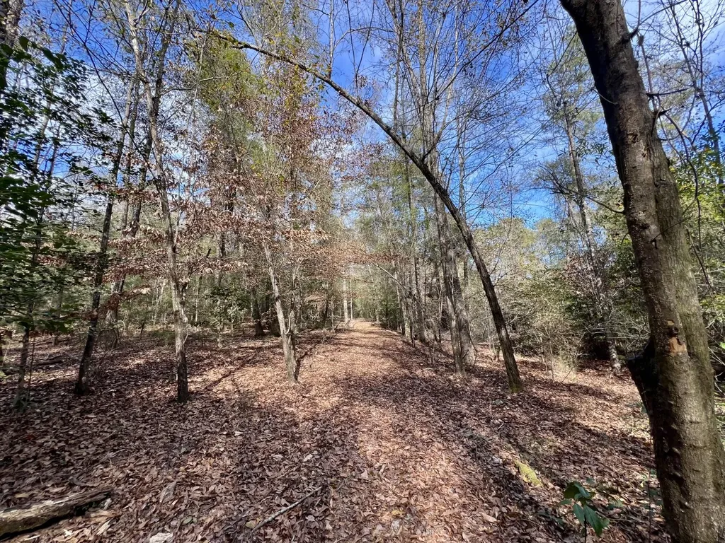 0 Holiday Lane Vashti AL 36482