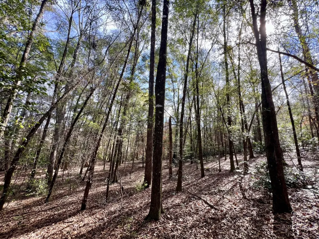 0 Holiday Lane Vashti AL 36482