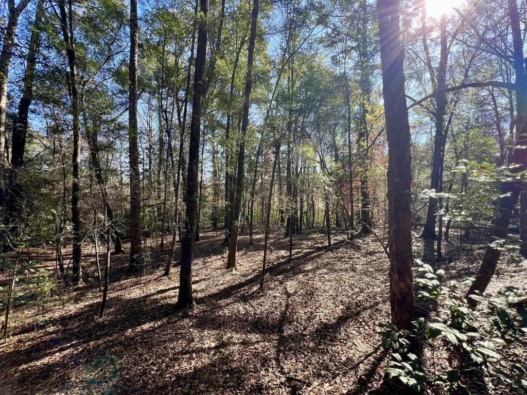 0 Holiday Lane Vashti AL 36482