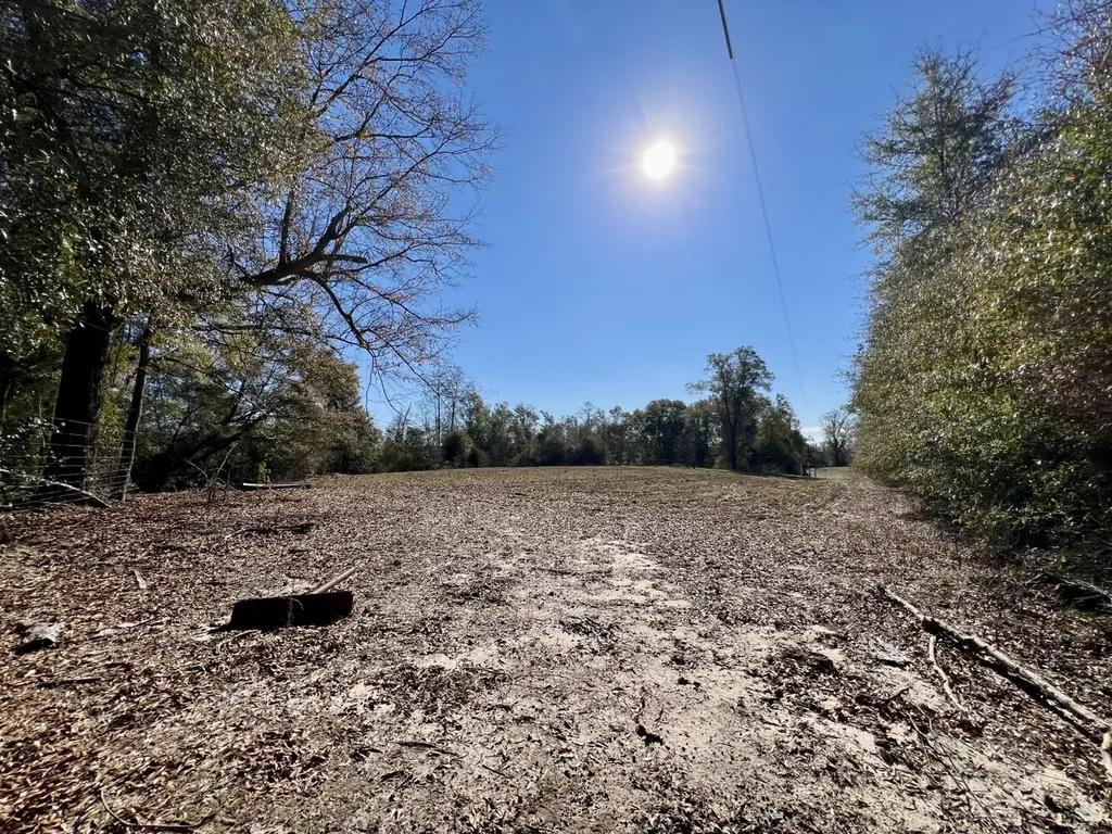 0 Holiday Lane Vashti AL 36482