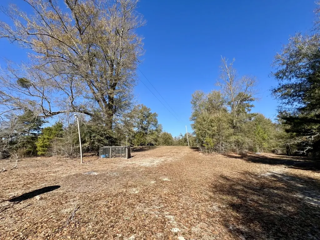 0 Holiday Lane Vashti AL 36482