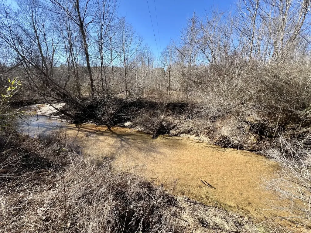 0 Holiday Lane Vashti AL 36482