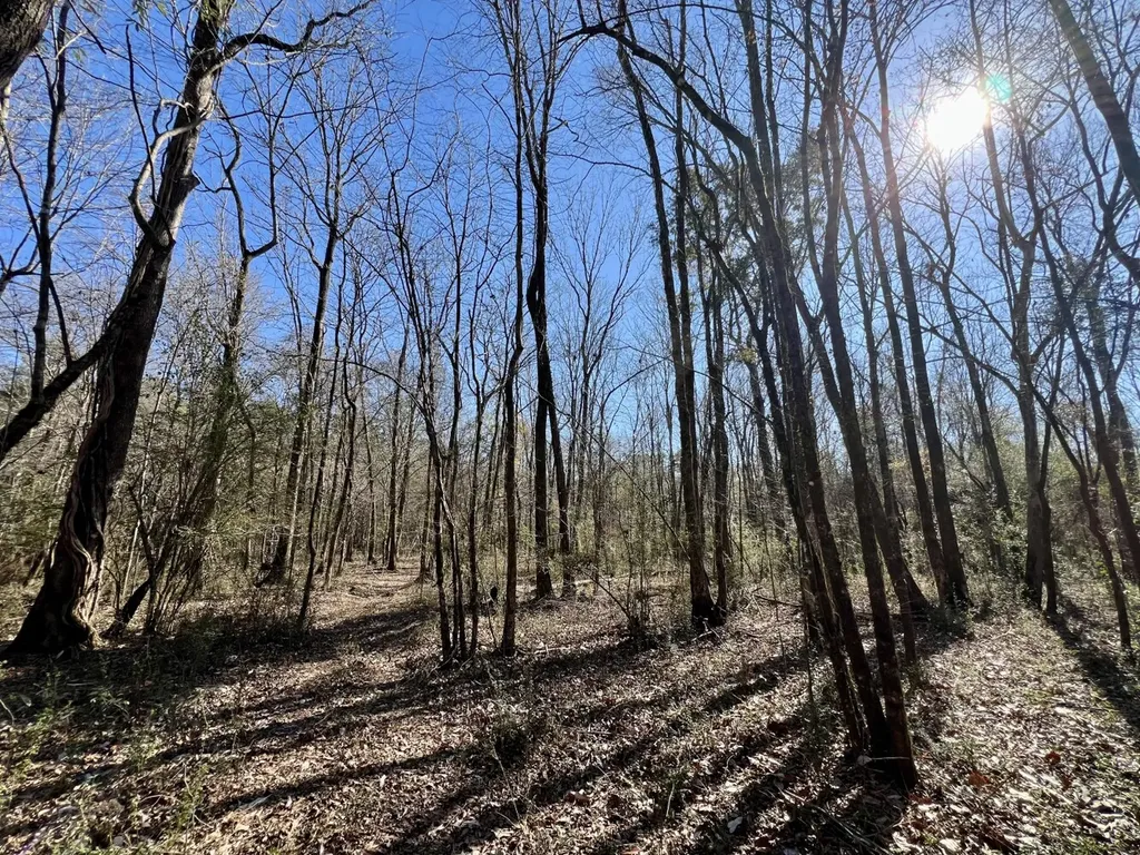 0 Holiday Lane Vashti AL 36482