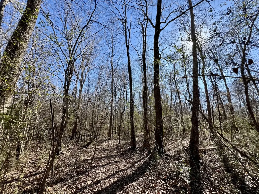 0 Holiday Lane Vashti AL 36482