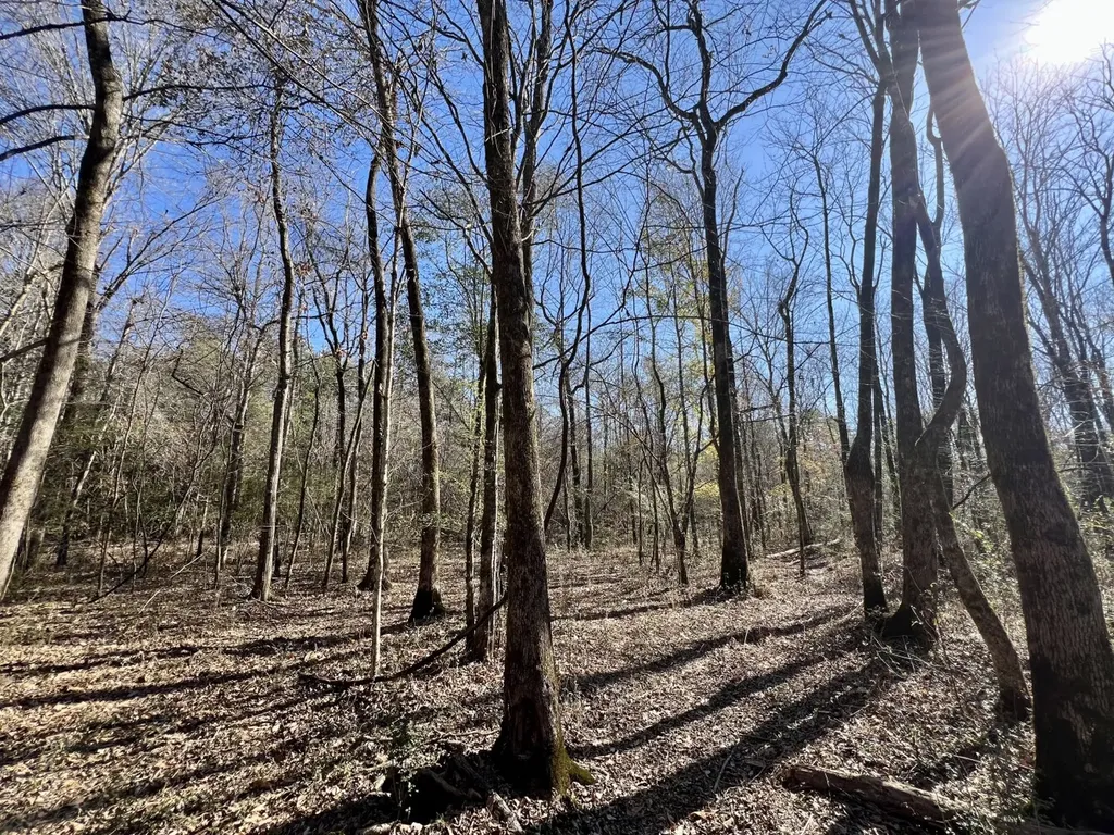 0 Holiday Lane Vashti AL 36482