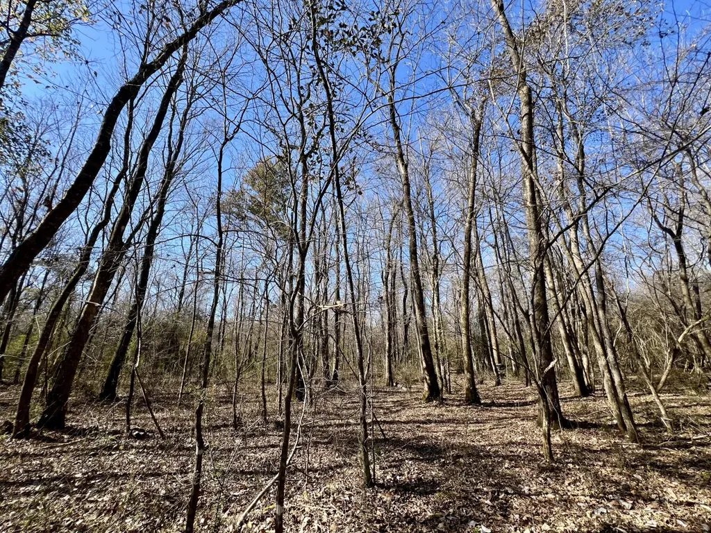 0 Holiday Lane Vashti AL 36482