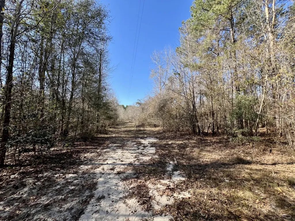 0 Holiday Lane Vashti AL 36482