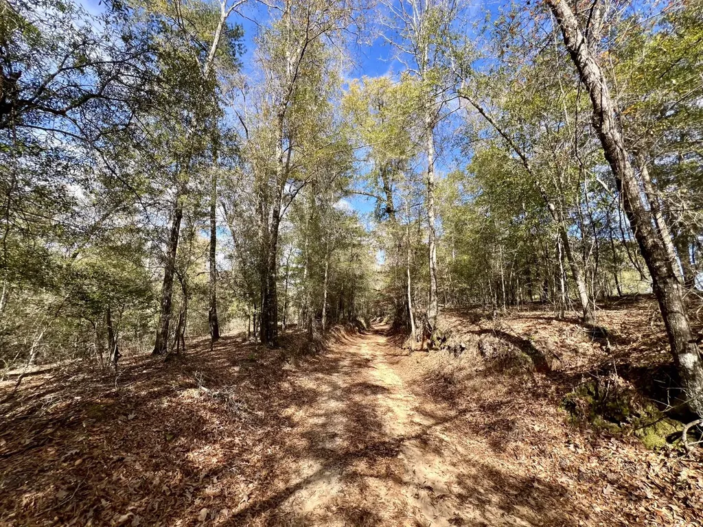 0 Holiday Lane Vashti AL 36482