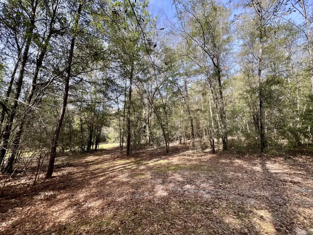 0 Holiday Lane Vashti AL 36482