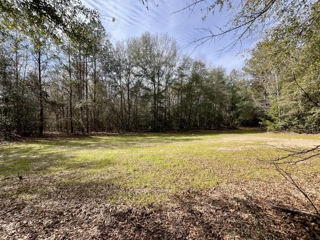 0 Holiday Lane Vashti AL 36482