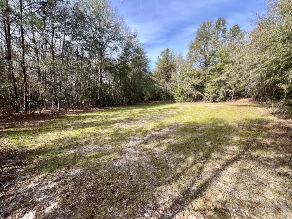 0 Holiday Lane Vashti AL 36482