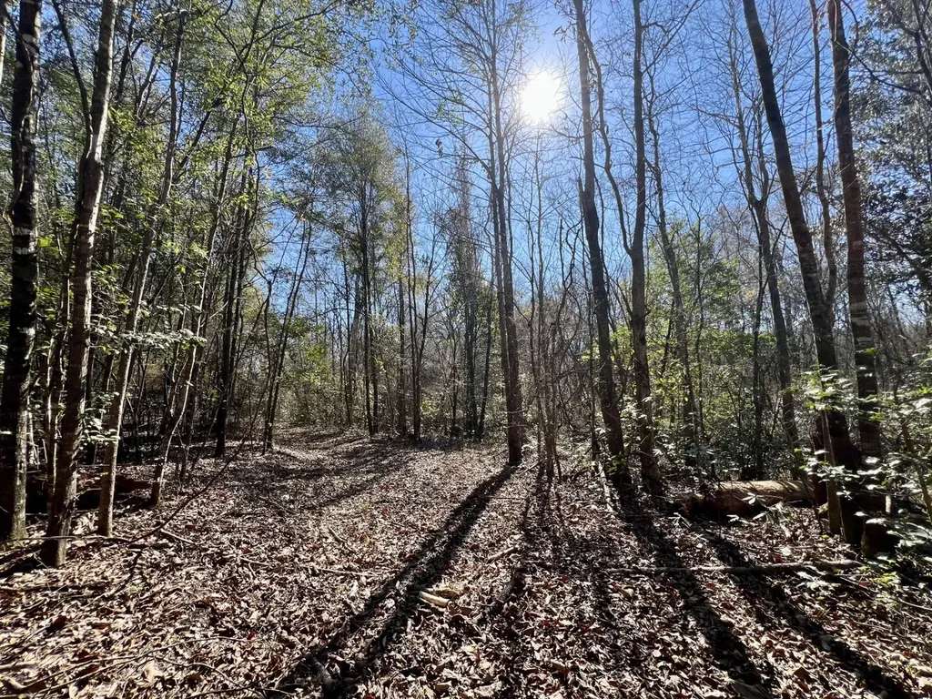 0 Holiday Lane Vashti AL 36482