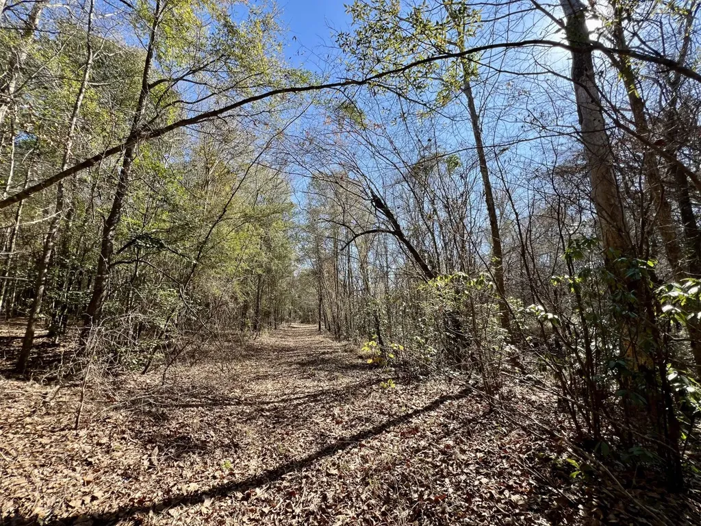 0 Holiday Lane Vashti AL 36482