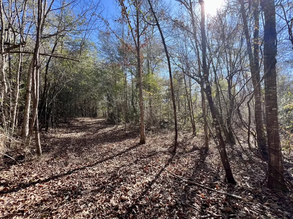 0 Holiday Lane Vashti AL 36482