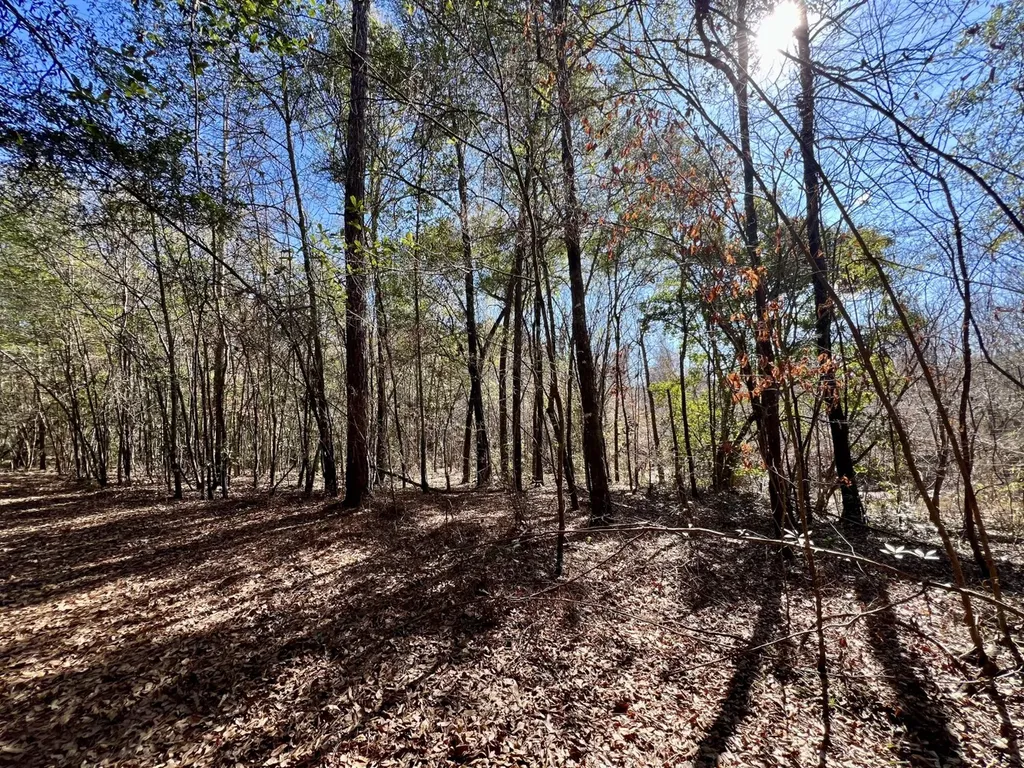 0 Holiday Lane Vashti AL 36482