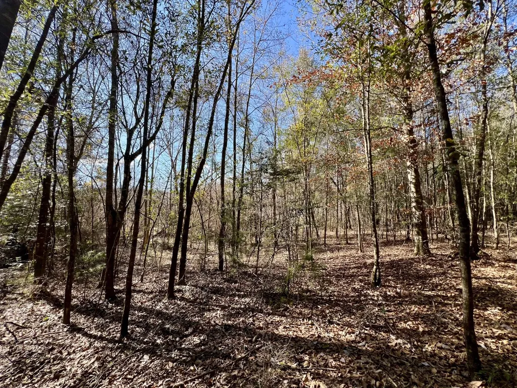 0 Holiday Lane Vashti AL 36482