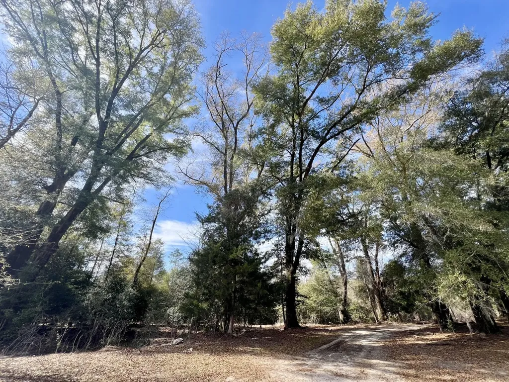 0 Holiday Lane Vashti AL 36482