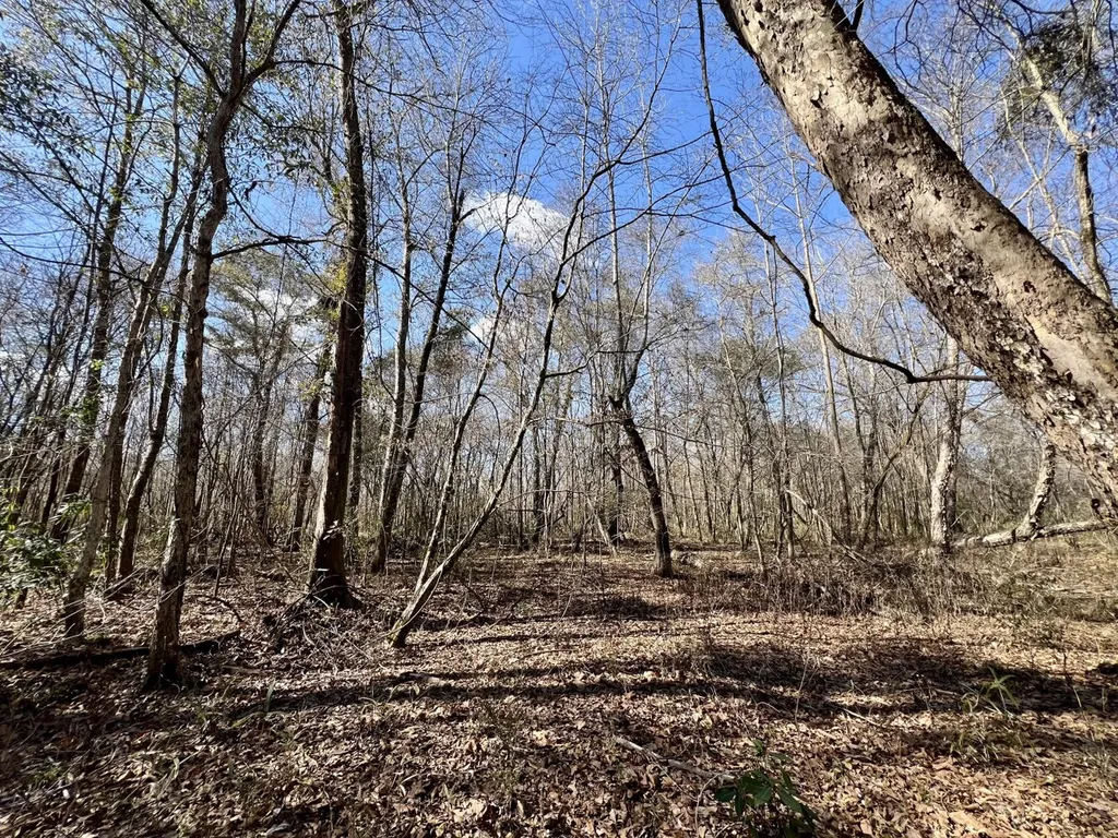 0 Holiday Lane Vashti AL 36482