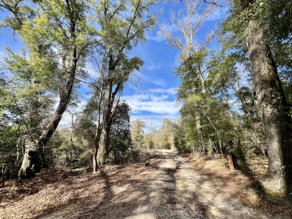 0 Holiday Lane Vashti AL 36482