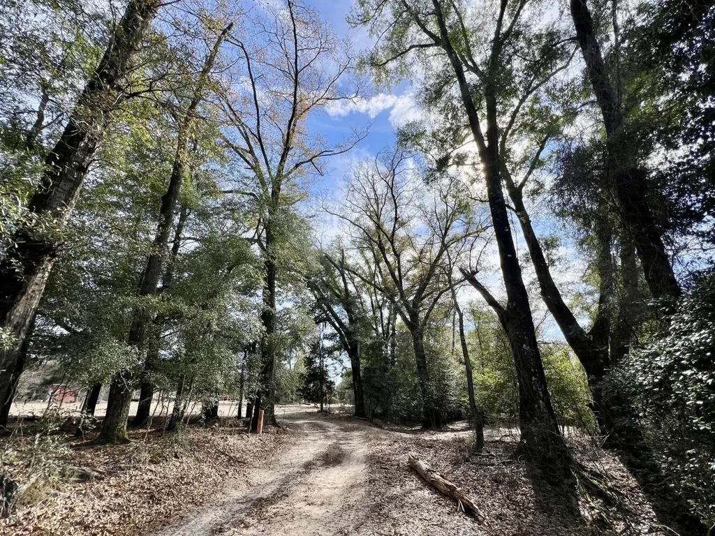 0 Holiday Lane Vashti AL 36482