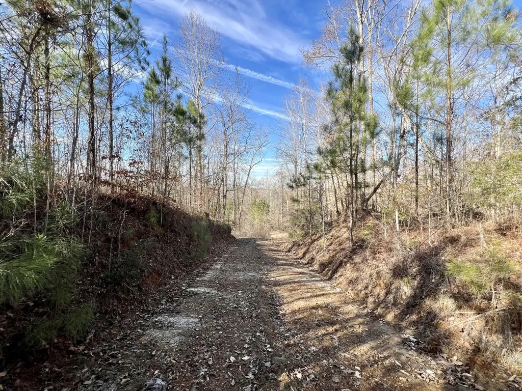 0 Old Claiborne Road Thomasville AL 36784